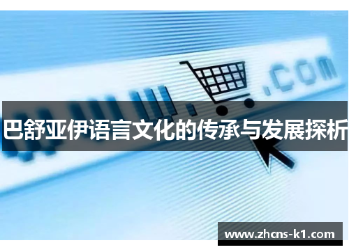 巴舒亚伊语言文化的传承与发展探析