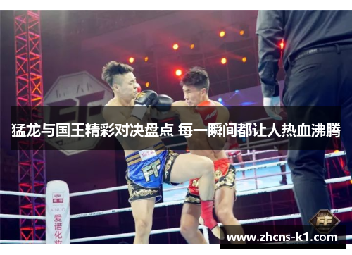 猛龙与国王精彩对决盘点 每一瞬间都让人热血沸腾